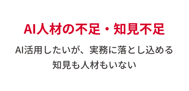 AI人材の不足・知見不足。AI活用したいが、実務に落とし込める 知見も人材もいない。