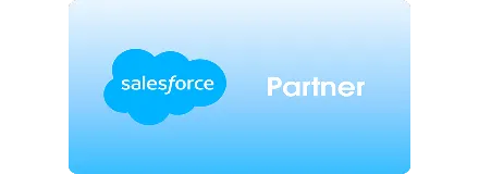 Salesforce Partner